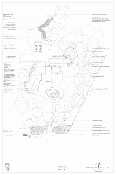 Photo: Backyard Bounty