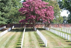 nalp-renewel-rememberance-arlington-768×512