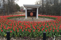 ole-miss campus