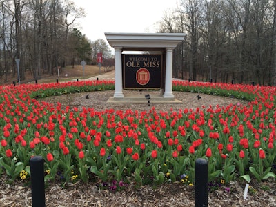 Photo: Robert Jordan