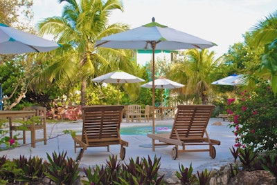 backyard pool/patio surrounded with palm trees, umbrellas, lounge chairs and variety of colorful plants