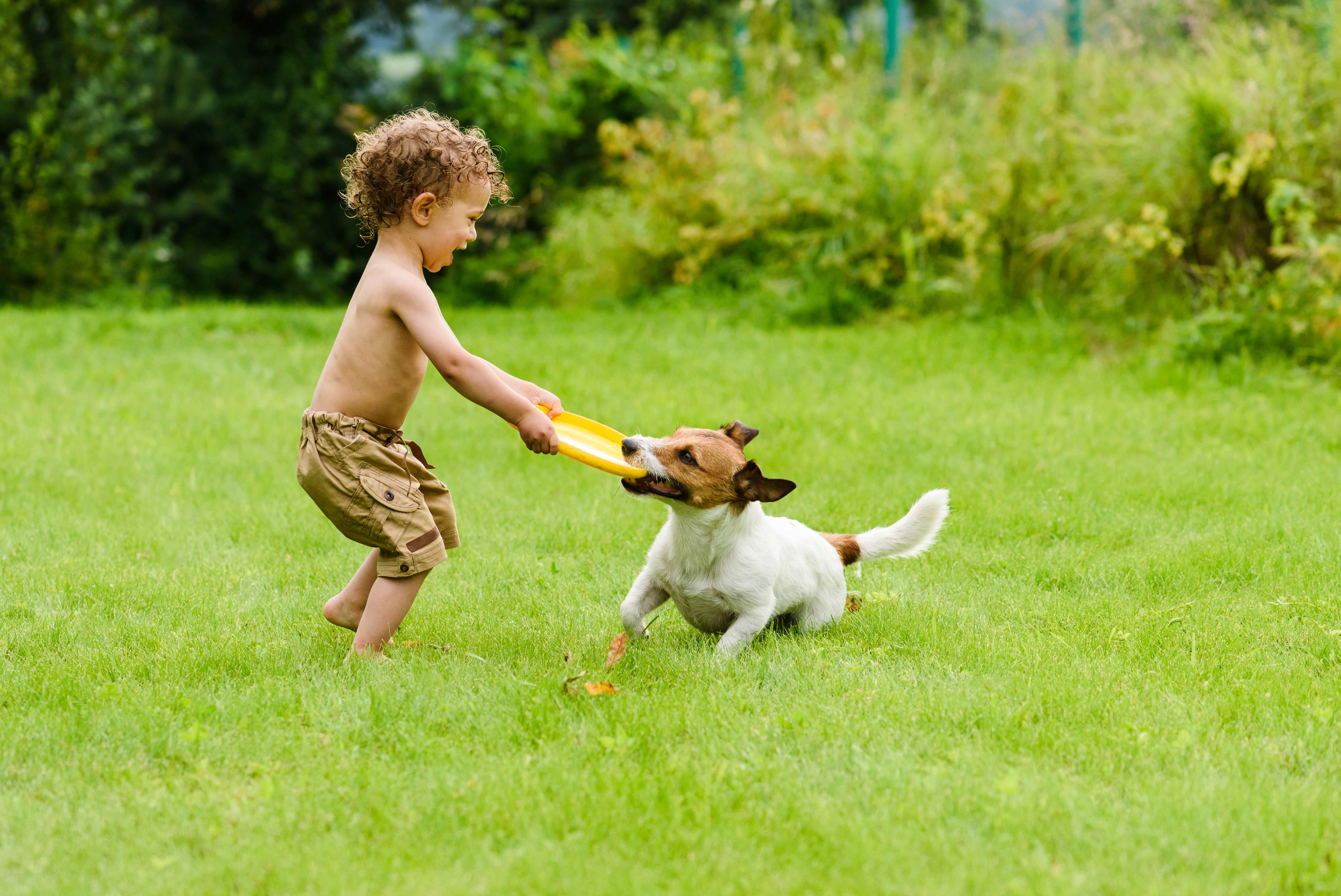 puppy-kid-playing-yard