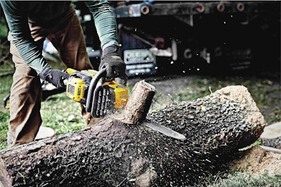 Photo: DeWalt