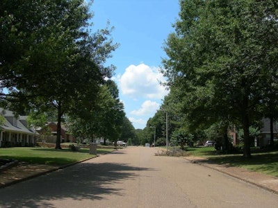 Maturing urban forest in a 30-year old neighborhood.