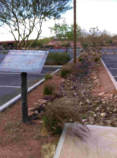 Bioswales in parking lots capture rainwater and prevent runoff.