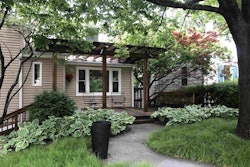 Shady properties like this benefit from growing a sedge lawn. Photo: Jill Odom