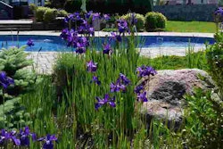 shutterstock_792349063