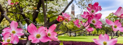 Photo: University of Alabama