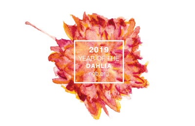 National Garden Bureau announces “Year of the” 2019 program classes National Garden Bureau's “Year of the” 2019 program classes