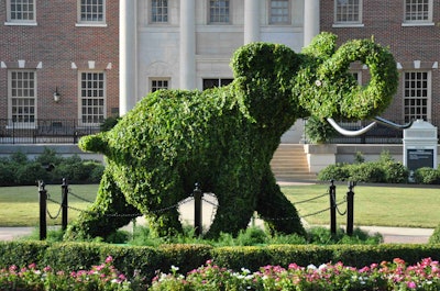 Weighing nearly 2,000 pounds, standing 10 feet tall, 14 feet long and 5 feet wide, this campus addition has certainly proven to be a unique focal point for the University of Alabama. Photo: University of Alabama. Photo: University of Alabama
