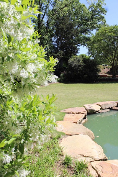 With a tranquil pond located in the center, the Memory Garden gives visitors the chance to sit and relax in a secluded area of campus. Photo: Beth Hyatt