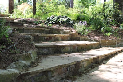 Stairway at the Donald E. Davis Arboretum. Photo: Beth Hyatt