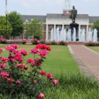 Troy-quad-statue-roses