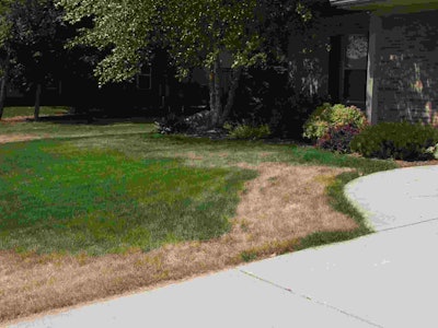 Herbicide applications during summer heat can cause turf damage, so minimize applications in high heat to only those that are absolutely needed. Photo: Dr. Zac Reicher, Bayer