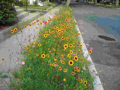 Photo: Juhan Sonin/Flickr