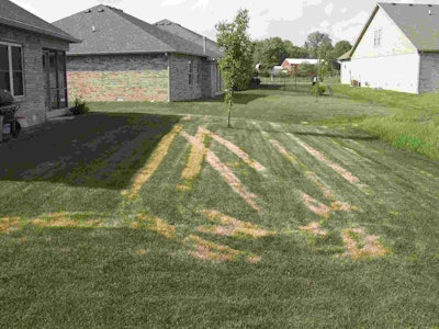 Turf damage can be done with mowers or ride-on sprayers as in this case, when the turf is under even mild turf stress. Photo: Dr. Zac Reicher, Bayer