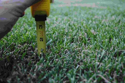 Mowing cool-season lawns at three inches or higher all season long will maximize rooting and summer performance. Photo: Dr. Zac Reicher, Bayer