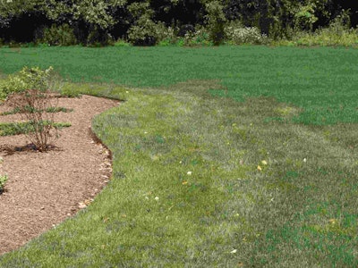 When mowing especially with ride-on mowers, alternate traffic patterns and avoid turning on turf to maximize turf health. Photo: Dr. Zac Reicher, Bayer