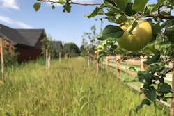 7q65sinGSMS0s1s7kaLftw