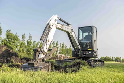 Photo: Bobcat