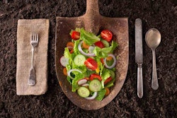 edible-garden-shovel