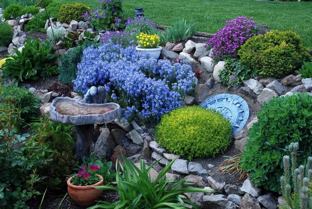 hillside-plants-garden