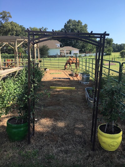 Beyond Boundaries won the first place grant award of $3,000. Photo: National Garden Bureau