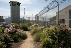 SQ Flower Garden img 3