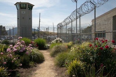 Insight Garden Program won third place in the garden grant competition. Photo: National Garden Bureau