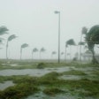 Hurricane-palm-tree-storm