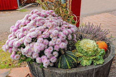 Fall container garden