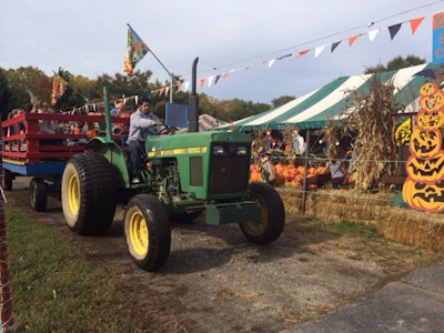 Additional attractions like hayrides can make your pumpkin patch memorable. Photo: Burke Nursery and Garden Centre