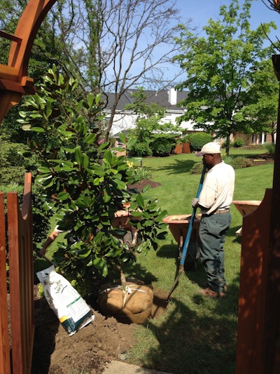 One of Eichenlaub’s H-2B workers prepares to plant a shrub. Photo: Eichenlaub, Inc.