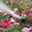 sprinkler-by-red-leaves