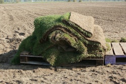 pallet of sod