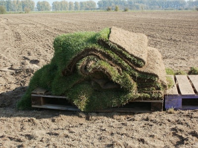 Sod on pallets