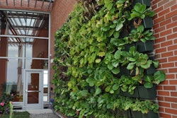 HOPE Tower_10th Floor Roof Terrace_Jersey Shore-A