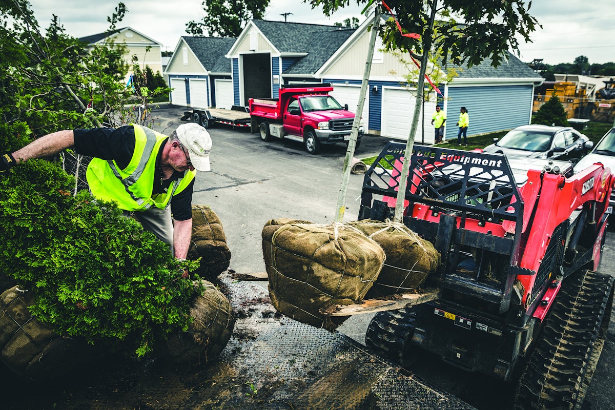 Can You Plant Trees in the Winter? We Set the Record Straight