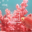 Coral-fish-Pantone