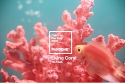 Coral-fish-Pantone