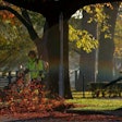 crews-using-leaf-blowers-ed-dunens-768×432