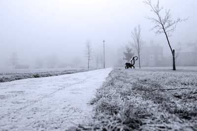 Photo: Pixabay