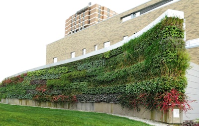 Photo: Sagegreenlife