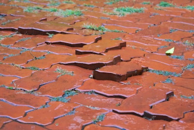 Damage caused to hardscaping