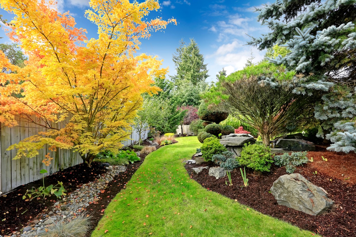 2019 Landscaping industry trends to watch Total Landscape Care