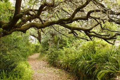 Shutterstock 52582015