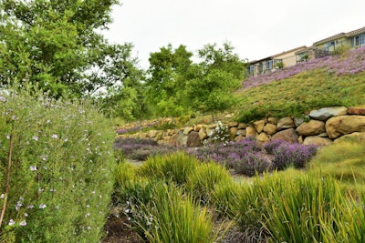 Photo: Gachina Landscape Management