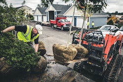 transporting-trees-SiteOne