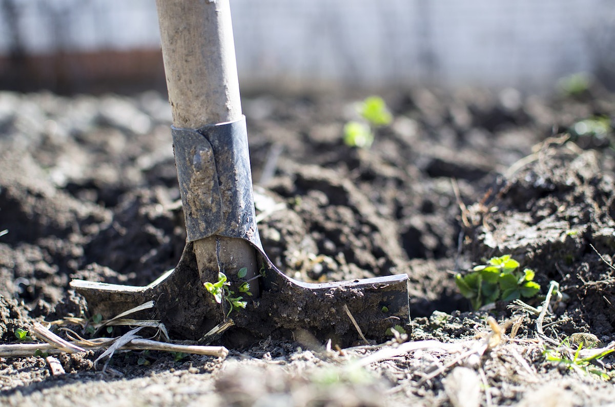 Prepare Soil For Landscaping