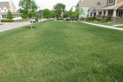 fertilizer stripes april 2012 (4)